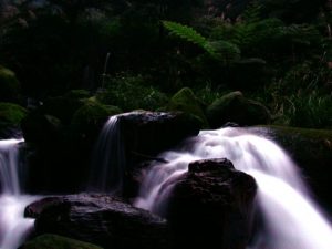 jinshan travel baian Wild stream springs 01 1