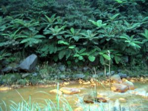 jinshan travel baian Wild stream springs 08 1