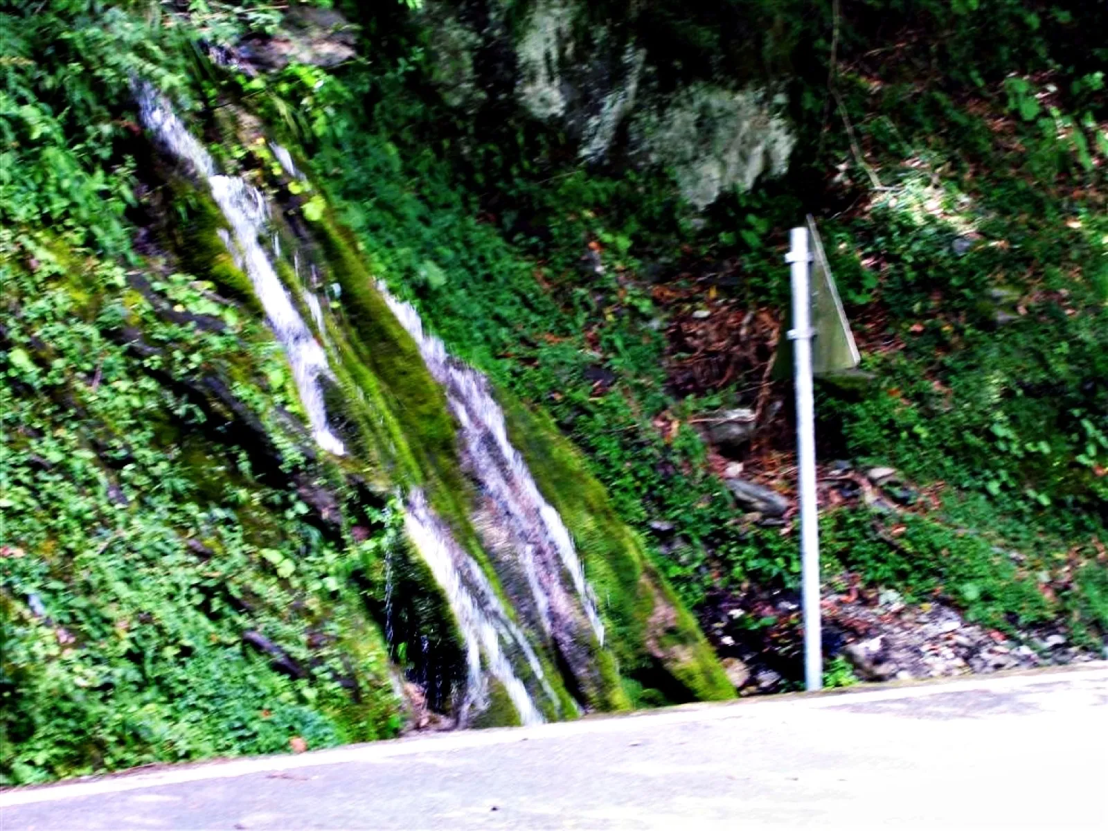 清澈見底的山間水溝